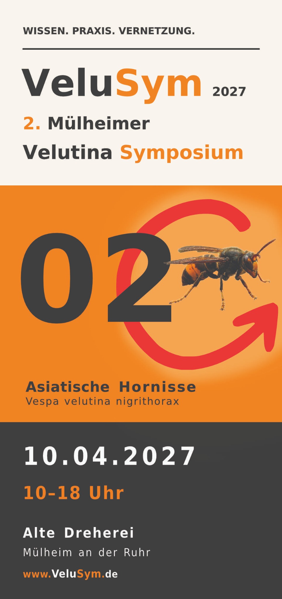 Flyermotiv: Asiatische Hornisse mit der Zahl 02 und rotem Kreispfeil